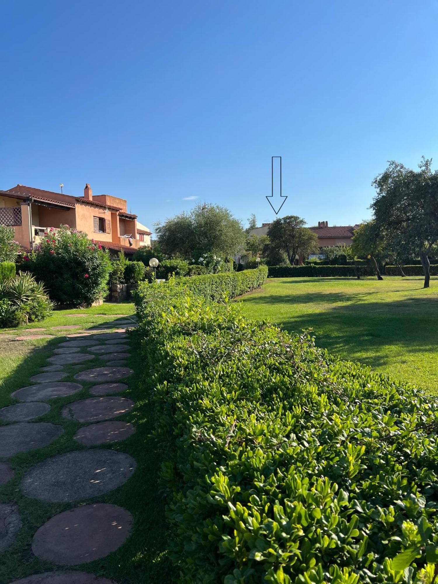Viti San Teodoro (Sardinia)